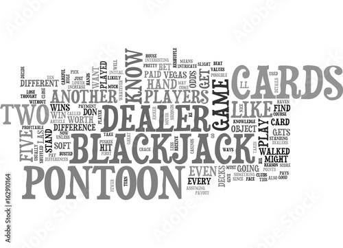 WHAT IS PONTOON TEXT WORD CLOUD CONCEPT