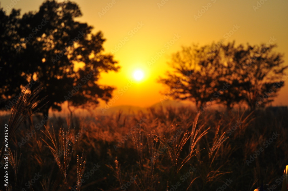 sunset view sunset view