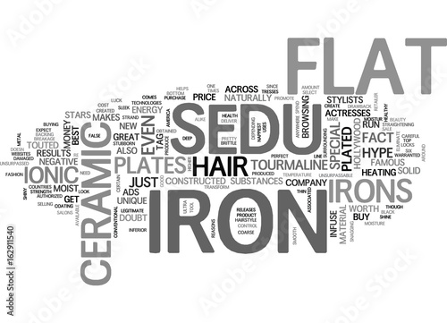 WHAT MAKES THE SEDU FLAT IRON SO SPECIAL TEXT WORD CLOUD CONCEPT