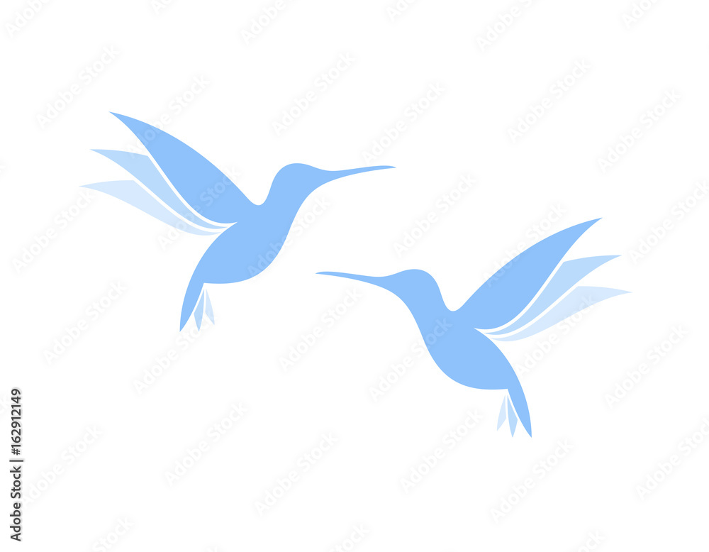 Obraz premium Flying hummingbirds. Exotic birds on white background