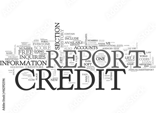 WHAT S IN A CREDIT REPORT TEXT WORD CLOUD CONCEPT