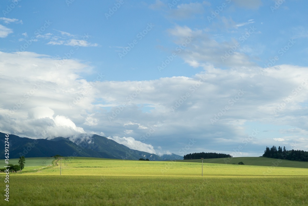 Wheat field during sunset. Slovakia Wheat field during sunset. Slovakia