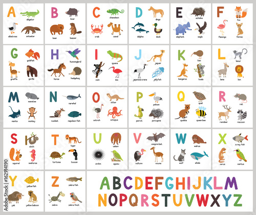 Fényképezés Cute vector zoo alphabet. Abc animals