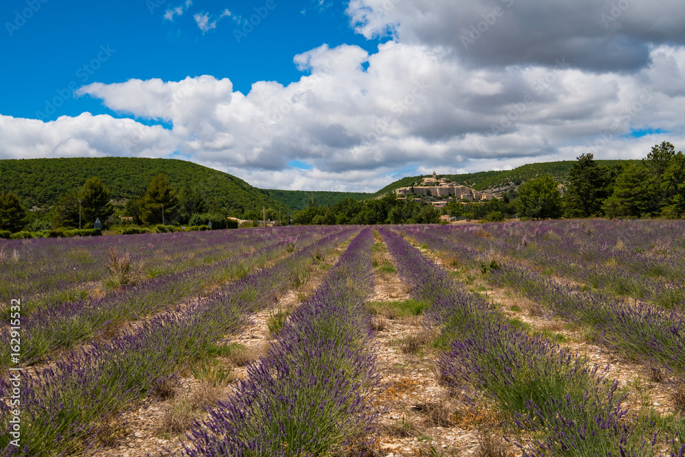 Vue sur le village de Banon en Provence, France. Champ de lavande au premier plan. Ciel bleu avec des nuages.