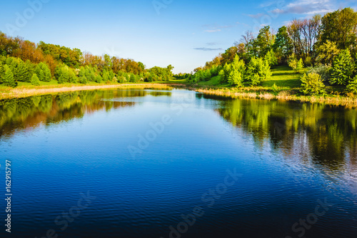 Summer lake near the forest.