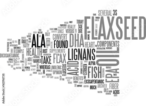 WHAT YOU MUST KNOW ABOUT FLAX SEEDS TEXT WORD CLOUD CONCEPT