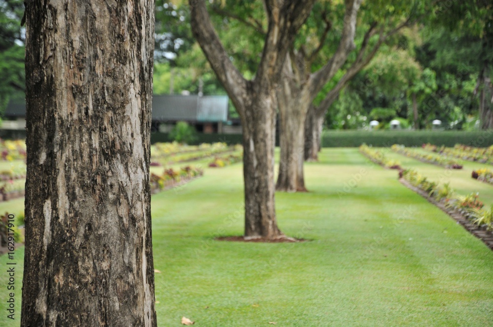 big trees and lawn in a cemetery with headstones in the background at Kanchanaburi War Cemetery in Thailand. big trees and lawn in a cemetery with headstones in the background at Kanchanaburi War Cemetery in Thailand.