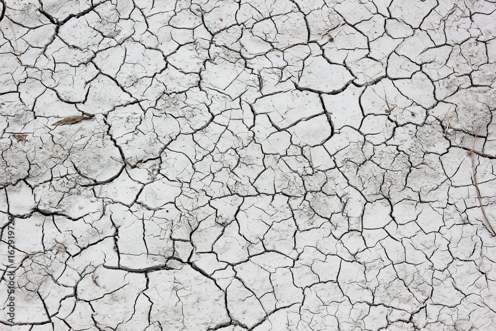 Dried up and hostile to the earth as a consequence of climate warming Dried up and hostile to the earth as a consequence of climate warming