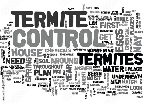 WHEN TO DO TERMITE CONTROL TEXT WORD CLOUD CONCEPT