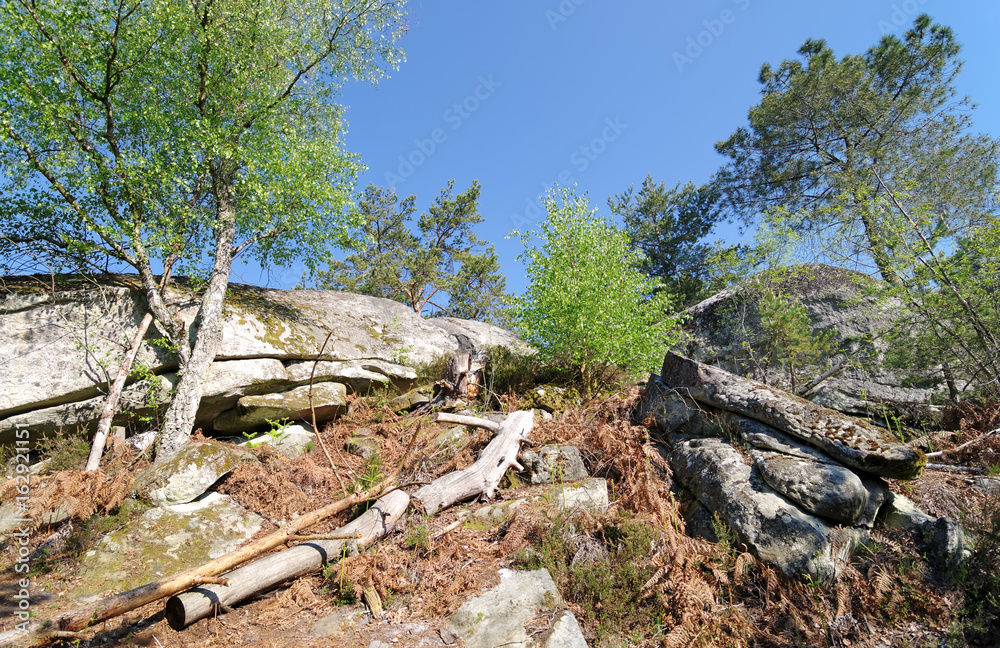 Gorges de Franchard parc régional naturel du Gâtinais Gorges de Franchard parc régional naturel du Gâtinais