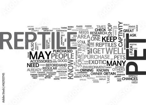 WHERE TO BUY A REPTILE TO KEEP AS A PET TEXT WORD CLOUD CONCEPT