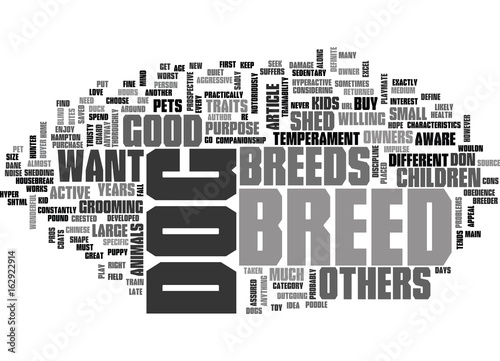 WHICH BREED IS RIGHT FOR YOU TEXT WORD CLOUD CONCEPT
