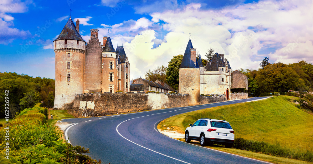 Obraz premium Travel in France - beautiful castles of Loire valley - Montpoupon