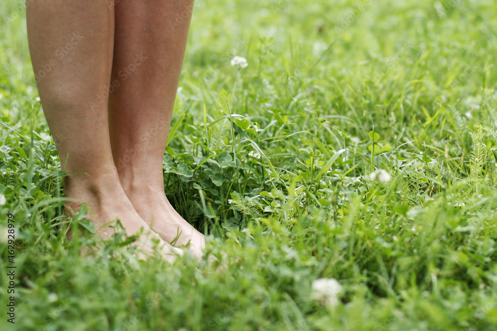 Female legs on green grass