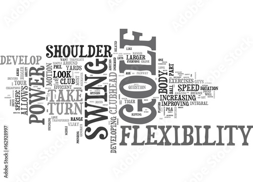 WHY DOES TIGER PHIL AND VIJAY HAVE OBSCENE POWER TEXT WORD CLOUD CONCEPT