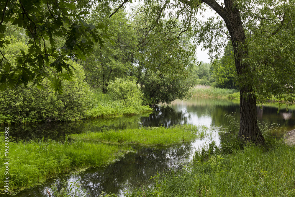 Quiet forest  river . Uday River. Piryatin. Ukraine