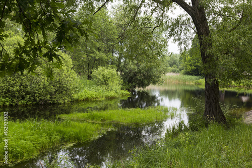 Quiet forest river . Uday River. Piryatin. Ukraine