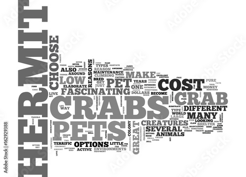 WHY HERMIT CRABS MAKE GREAT PETS TEXT WORD CLOUD CONCEPT