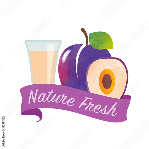 Colorful watercolor texture vector nature organic fresh fruit juice banner plum