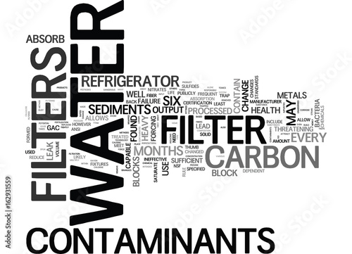 WHY SHOULD YOU CHANGE YOUR REFRIGERATOR WATER FILTER EVERY SIX MONTHS TEXT WORD CLOUD CONCEPT