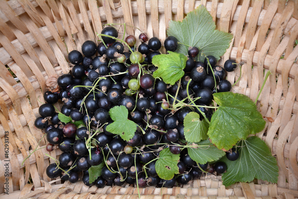 Cassis fruit deals