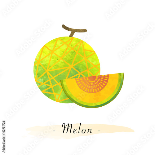 Colorful watercolor texture vector healthy fruit net melon
