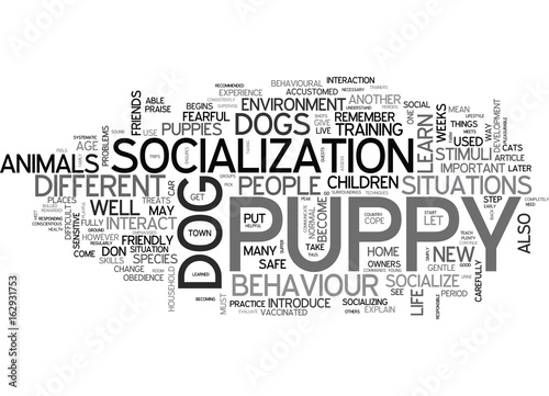 WHY SOCIALIZE YOUR PUPPY A GUIDE TO WHY AND HOW TEXT WORD CLOUD CONCEPT