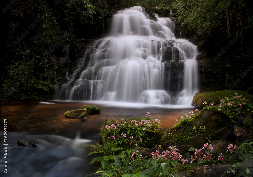 Mun-Dang waterfall with pink snapdragon (antirrhinum) flower in Petchaboon province,Thailand