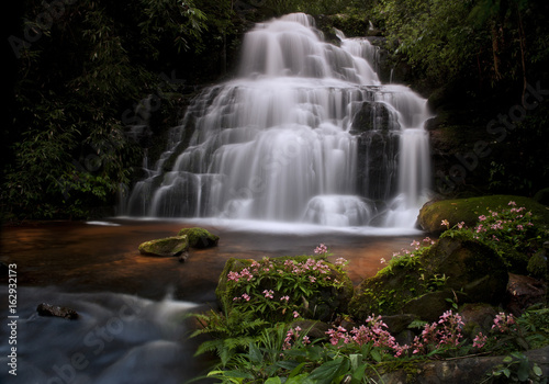 Mun-Dang waterfall with pink snapdragon  antirrhinum  flower in Petchaboon province Thailand