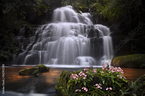 Mun-Dang waterfall with pink snapdragon  antirrhinum  flower in Petchaboon province Thailand