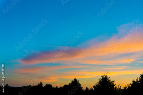 Bright sunset in the forest