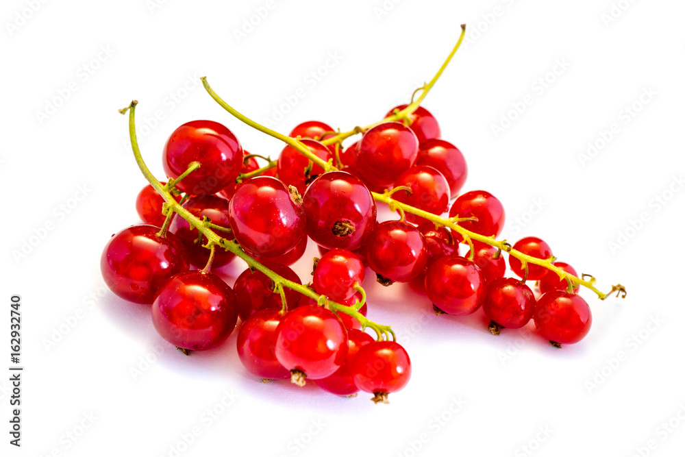 Rot Rote Johannisbeere Johannisbeeren isoliert freigestellt auf weißen Hintergrund, Freisteller
