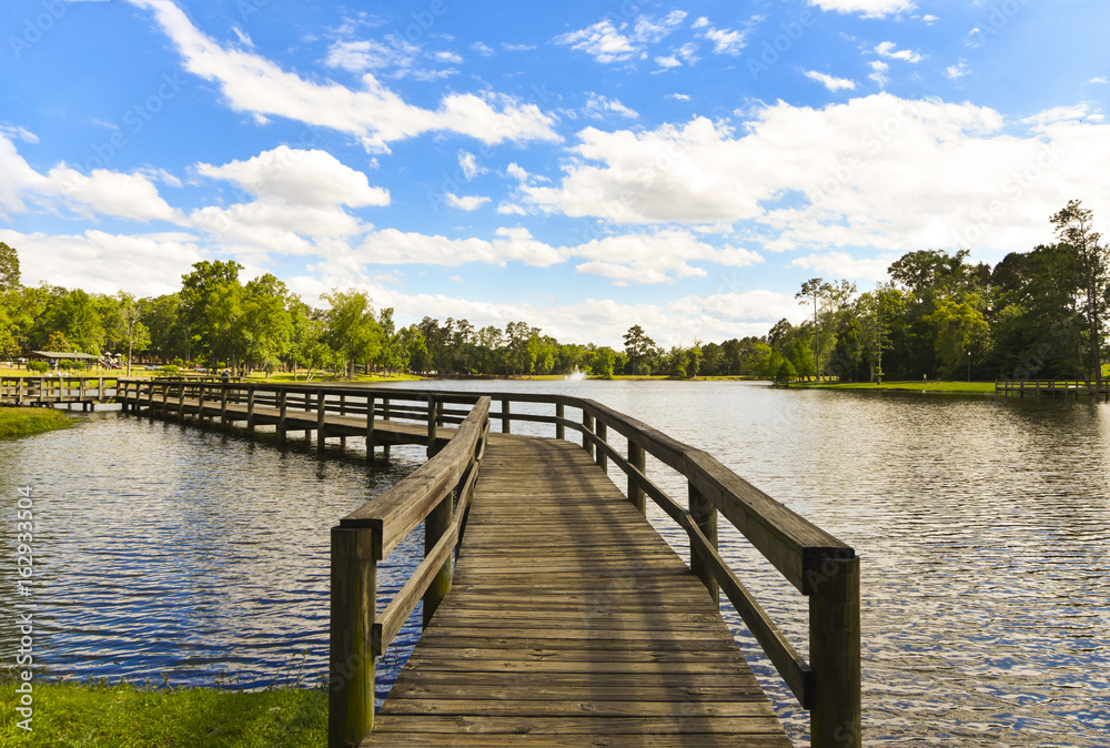 Pond Landscape