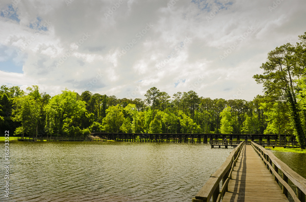 Pond Landscape Pond Landscape