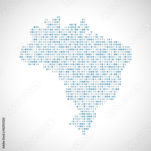 Binary digital map of Brazil