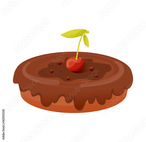 Piece of pie, covered with icing with cherries and chocolate.
