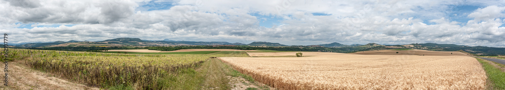 vue panoramique de l'agriculture en région Auvergne