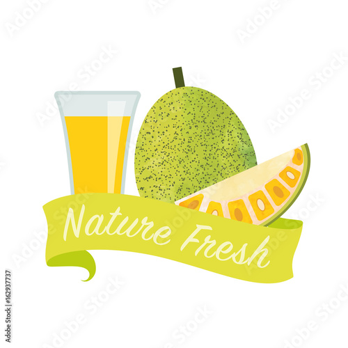 Colorful watercolor texture vector nature organic fresh fruit juice banner jackfruit