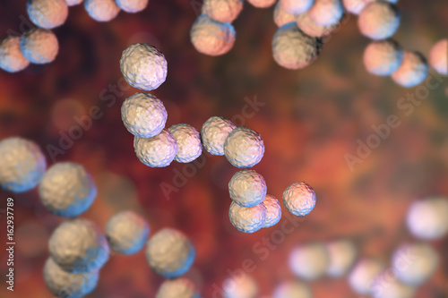 Gram-positive bacteria Streptococcus pyogenes which cause Scarlet fever and other infections, 3D illustration photo