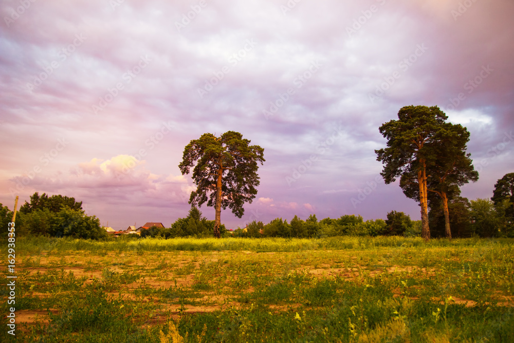 Tyumen, Russia. The rustic landscape with trees and colorful sky at the sunset.