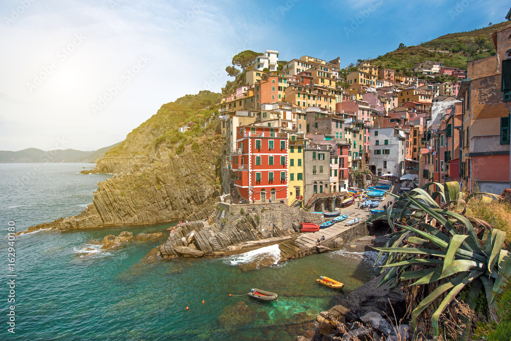 Incredible landscape in Riomaggiore with leaves of agave in Cinque Terre, Liguria, Italy, Europe in sunshine