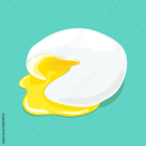 Poached egg. Fresh delicious egg poached and cut, runny yellow yolk. Yummy breakfast. Vector hand drawn illustration.
