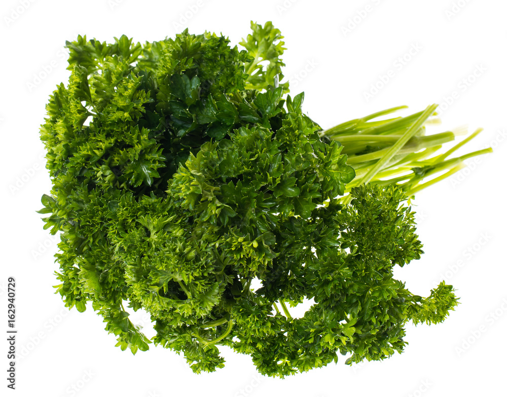 A bunch of fresh green parsley on white background A bunch of fresh green parsley on white background