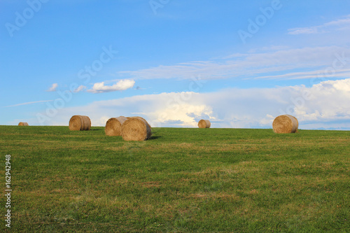 Straw bale on green meadow with blue sky