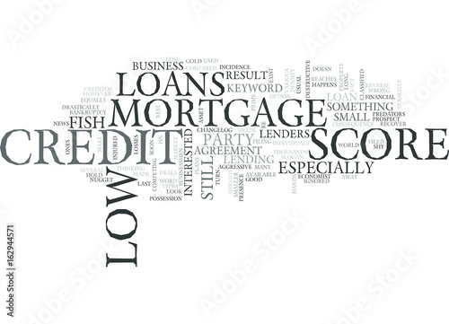 Z MORTGAGE LOANS WITH LOW CREDIT SCORE TEXT WORD CLOUD CONCEPT