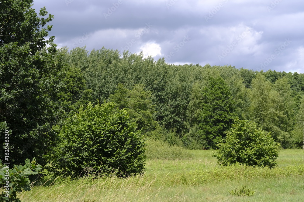Heerweger Moor in Ritterhude
