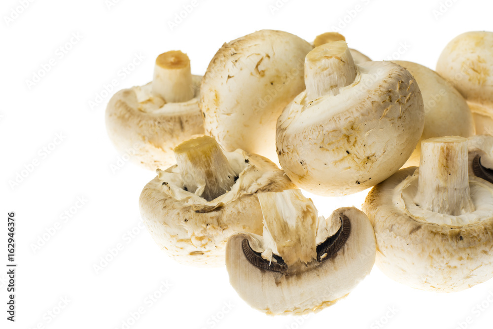 Fresh unwashed champignons on white background. Fresh unwashed champignons on white background.
