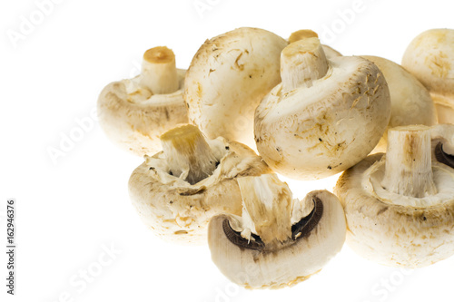 Fresh unwashed champignons on white background.