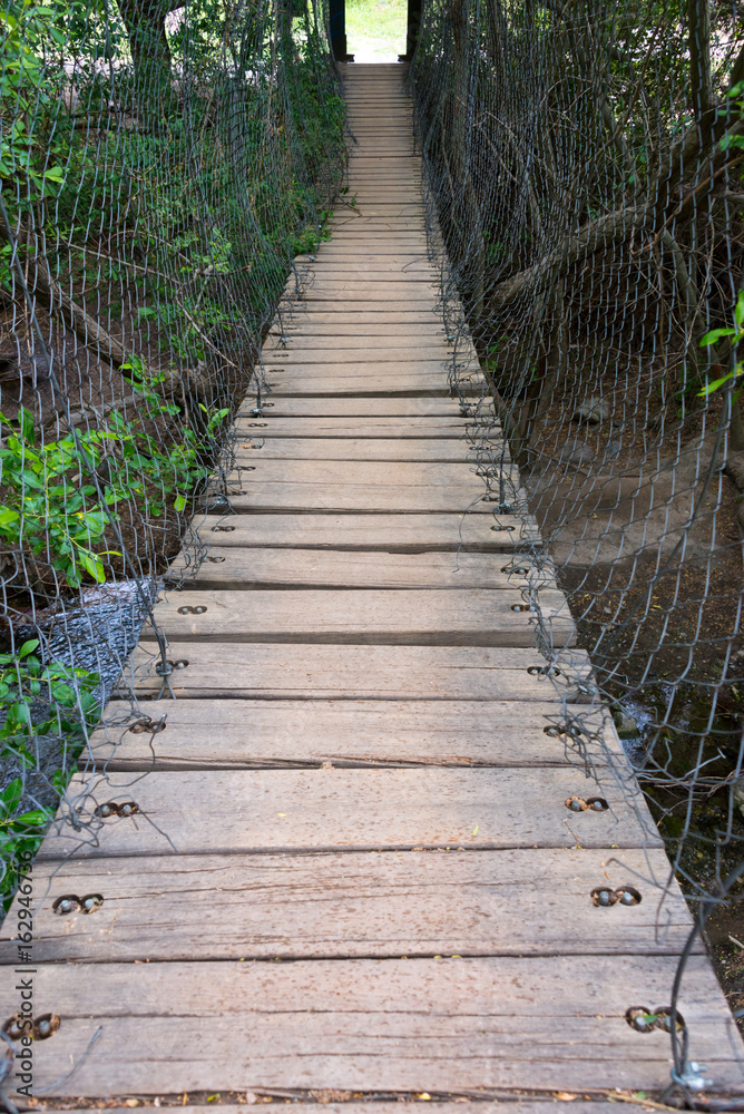 plank bridge