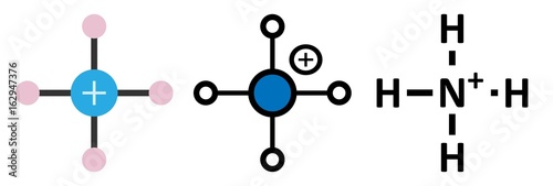 Ammonium cation. Protonated form of ammonia.